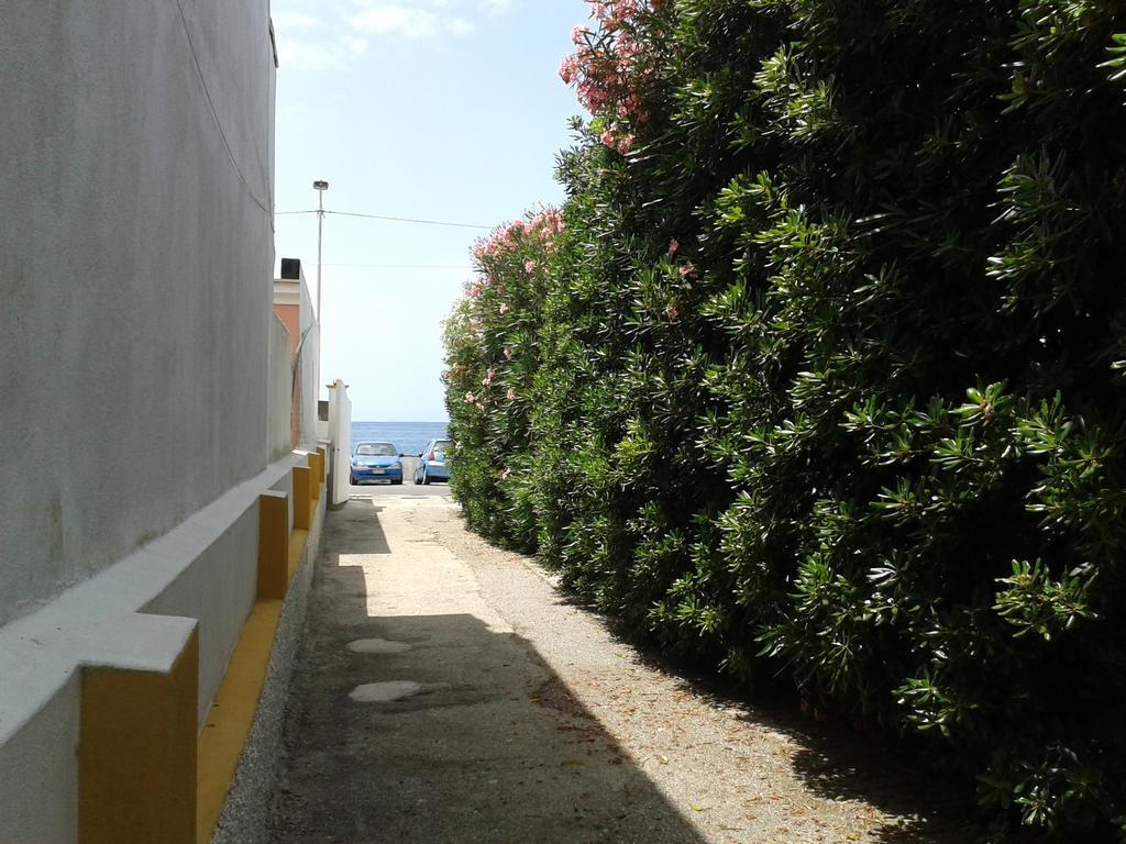 Villa Pitosforo - Ulivo - Cocco Forio di Ischia Esterno foto