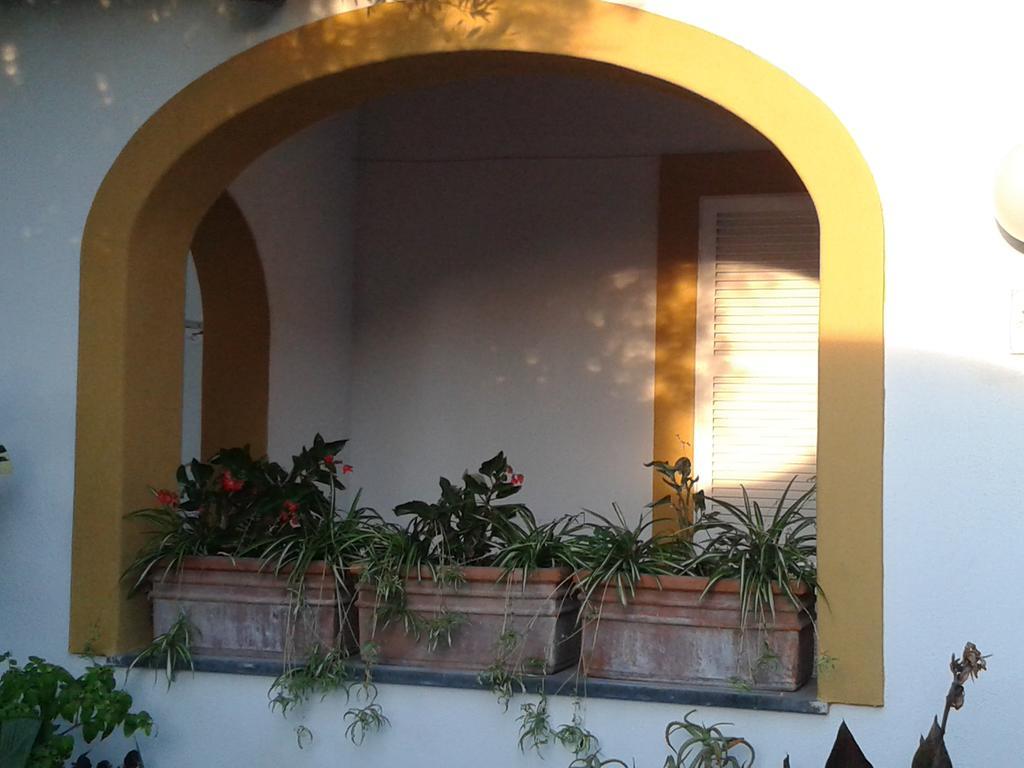 Villa Pitosforo - Ulivo - Cocco Forio di Ischia Esterno foto