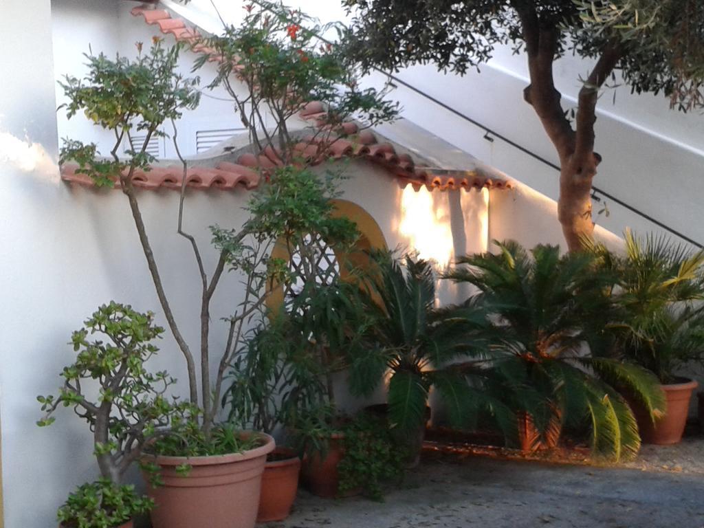 Villa Pitosforo - Ulivo - Cocco Forio di Ischia Esterno foto