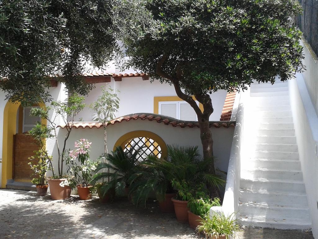 Villa Pitosforo - Ulivo - Cocco Forio di Ischia Esterno foto